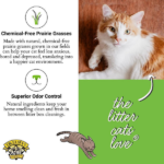 Dr. Elsey's PC Touch of Outdoors Scented Cat Litter image 3