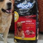 Drools Chicken and Egg Adult Dog Dry Food image 4