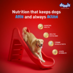 Drools Fish and Rice Adult Dog Dry Food image 3