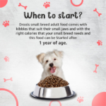 Drools Premium Small Breed Adult Dog Dry Food image 4