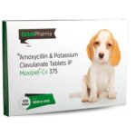 Ek Tek Moxipet CV 375mg Tablet (Amoxicillin & Clavulanate) for Dogs and Cats image 2