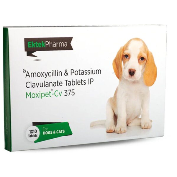 Ek Tek Moxipet CV 375mg Tablet (Amoxicillin & Clavulanate) for Dogs and Cats