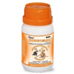 Mange Care SuperKit for Dogs and Cats image 4