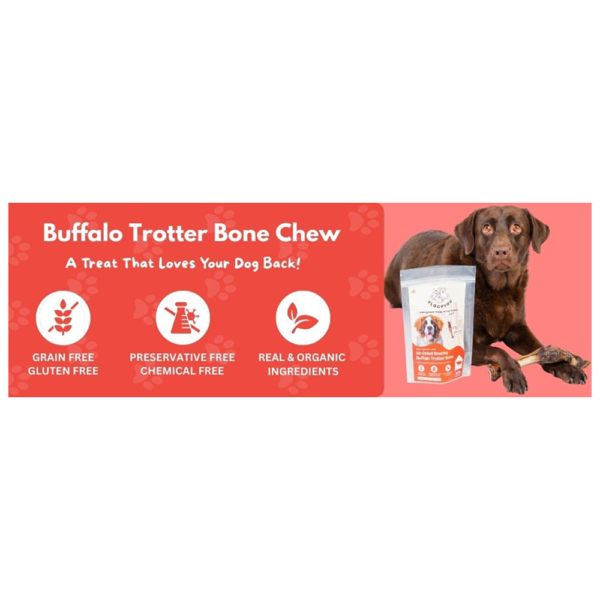 Floofyou Air Dried Buffalo Trotter Bone Dental Chew Dog Treats