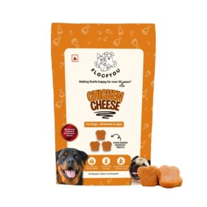 Floofyou Chicken Cheese Oven Baked Cookie Dog Treats