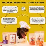 Floofyou Classic Banana Vegan Oven Baked Cookie Dog Treats image 4
