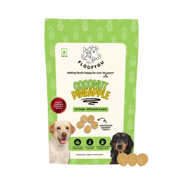 Floofyou Coconut Pineapple Vegan Oven Baked Cookie Dog Treats