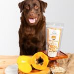 Floofyou Mango Papaya Vegan Oven Baked Cookie Dog Treats image 3