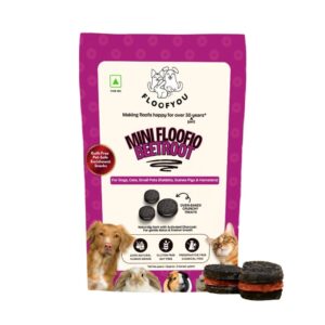 Floofyou Mini Floofio Beetroot Vegan Oven Baked Cookie Dog Treats