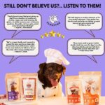 Floofyou Mixed Berries Vegan Oven Baked Cookie Dog Treats image 4
