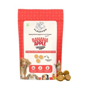 FloofYou Oven Baked Banana Apple Small Animal Treats
