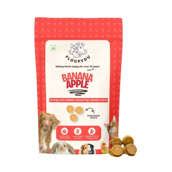 FloofYou Oven Baked Banana Apple Small Animal Treats