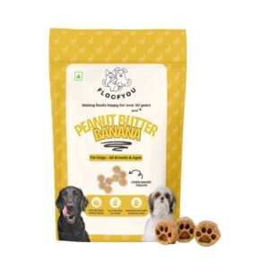FloofYou Oven Baked Peanut Butter & Banana Dog Treats