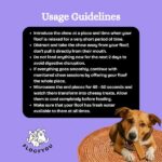 Floofyou Sun Dried Pure Veg Blueberry Yak Chew Bars Dental Dog Treats image 4