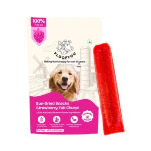 Floofyou Sun Dried Pure Veg Strawberry Yak Dental Dog Treats