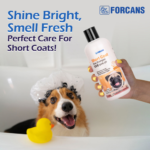 Forcans Aloe Short Coat Shampoo for Dogs image 1