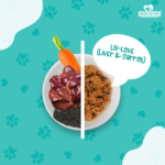 Fresh For Paws Chicken Liver & Carrot Liv Love Supplement for Dogs image 3