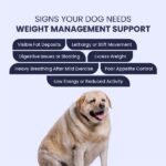 FurBall Story Obipet Weight Management Tablets for Dogs image 4