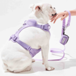 Furry & Co Poop Bag Holder for Dogs (Coral Red) image 3