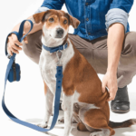 Furry & Co Poop Bag Holder for Dogs (Coral Red) image 4