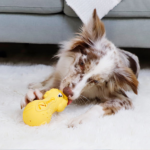 GiGwi Dumbbell Lion Heads Toy for Dogs (Yellow) image 4