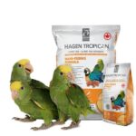 Hagen Tropican Hand Feeding Formula Bird Food (Yellow) image 3