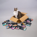 HUFT Meowsi Tuna & Shrimp In Broth Cat Wet Food image 4