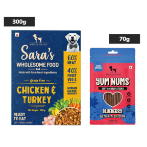 HUFT Sara's Wholesome Grain Free Chicken & Turkey Wet Food and Yum Nums Blueberry with Real Chicken Soft & Chewy Sticks Dog Treats Combo