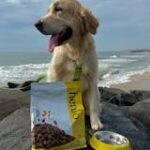 Henlo Baked Chicken & Vegetable Dry Food for Adult Dogs | High Protein | 100% Human Grade Ingredients image 3