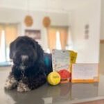 Henlo Chicken and Egg Baked Dry Food for Adult Dogs & Puppies | 100% Human Grade Ingredients image 3