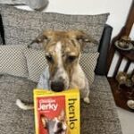 Henlo High Protein Air Dried Chicken Jerky Dog Treats image 5