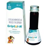 Intas Griptol N Syrup Antidiarrheal Suspension for Dogs (60ml) image 3