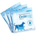Intas Ordelyte Powder Electrolyte Suppement for Dogs and Cats image 3