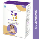 Intas Zipvit Drops Multi Vitamin Supplement for Puppies and Kitten (30ml) image 2