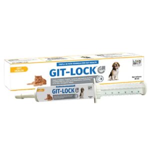 Loonshot Git Lock Paste Gut Health for Dogs and Cats