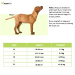 M Pets Diapers for Female Dogs (26x34cm) image 3