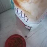Maxi Persian Adult Cat Dry Food image 3