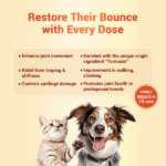 Natural Remedies Orthoron Joint Supplement Tablets for Dogs and Cats image 3