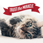 Nature's Miracle Air Care Deodorizer for Dogs and Cats image 4