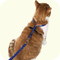 Neo Kumfurt Mucasone Lotion for Dogs and Cats image 50