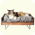 Neo Kumfurt Mucasone Lotion for Dogs and Cats image 53