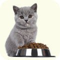 Neo Kumfurt Mucasone Lotion for Dogs and Cats image 61