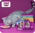 Neo Kumfurt Mucasone Lotion for Dogs and Cats image 67
