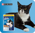 Neo Kumfurt Mucasone Lotion for Dogs and Cats image 72