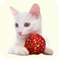 Neo Kumfurt Mucasone Lotion for Dogs and Cats image 39