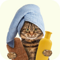 Neo Kumfurt Mucasone Lotion for Dogs and Cats image 45