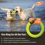 Nerf Dog Dental Tug Ring Toy for Dogs (Green) image 4