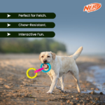 Nerf Dog Translucent Spike 3 Rings Toy for Dogs (Blue/Pink/Yellow) image 4
