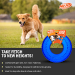 Nerf Dog Translucent Tire Flyer TPR Toy for Dogs (Blue) image 4