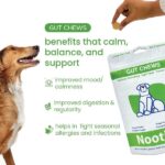 Nootie+ Digestive & Probiotic Gut Chew Supplement for Dogs image 3